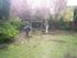 Removing the Turf