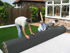 Laying No Grow Grass